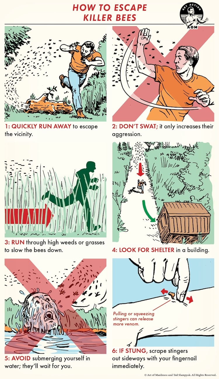 Skill of the Week: Escape From Killer Bees