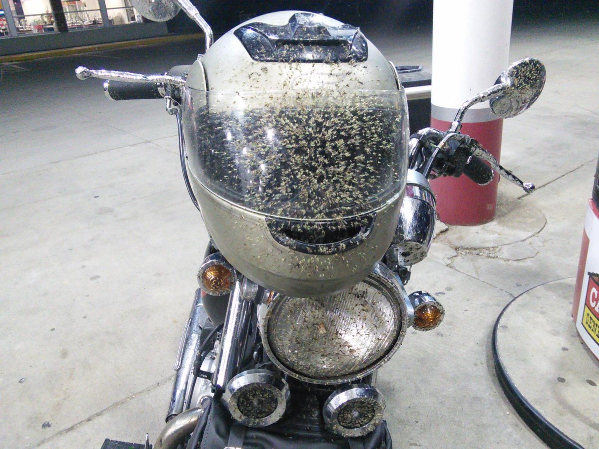 Maintain Your Motorcycle Helmet: A Step-by-Step Guide