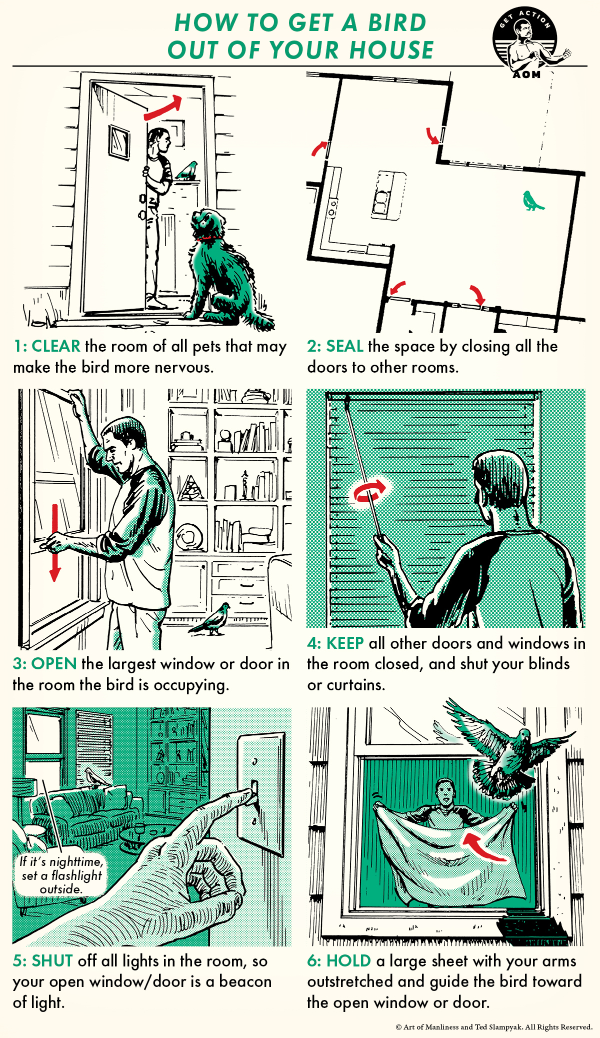 Skill of the Week: Get a Bird Out of Your House