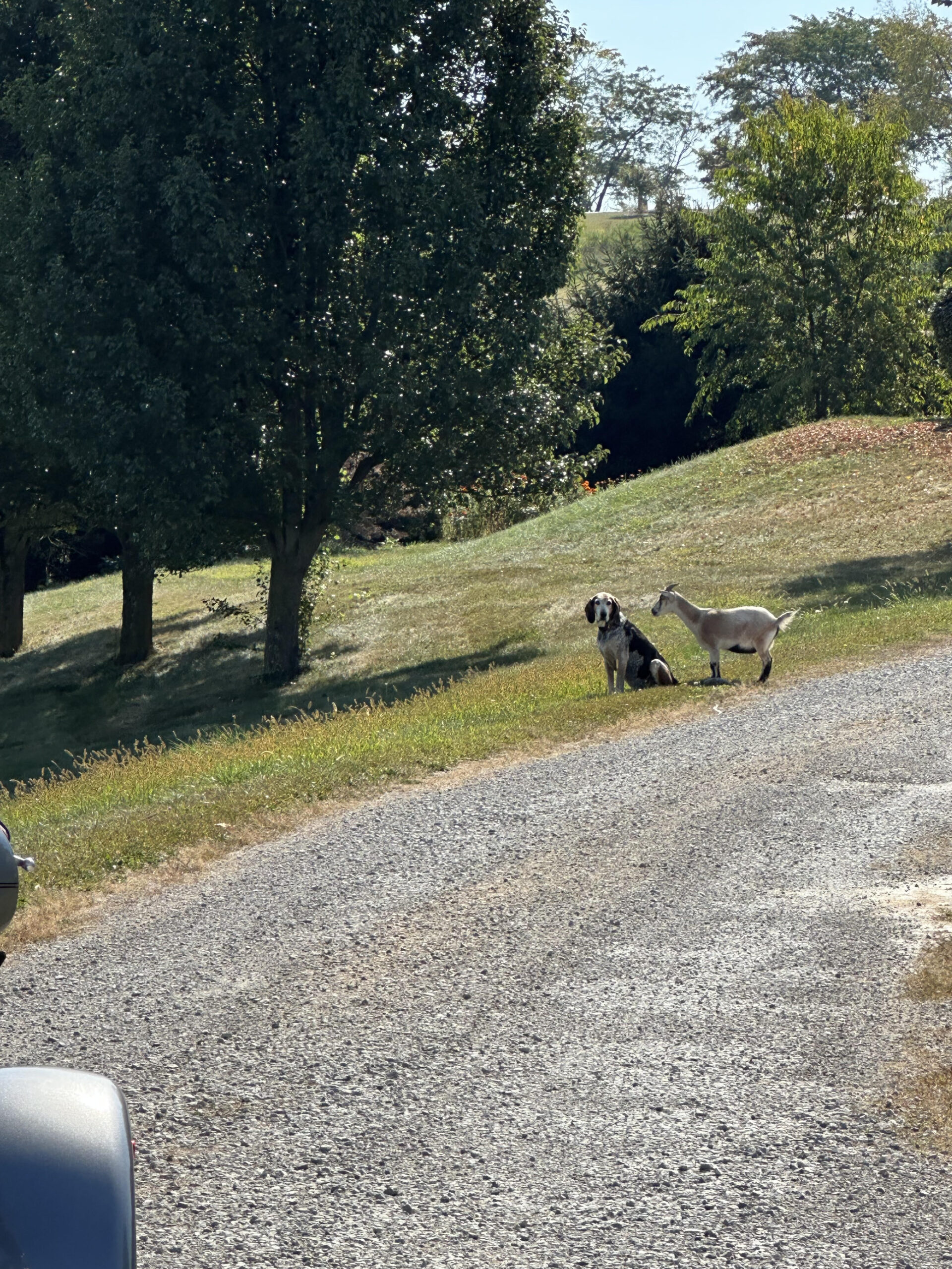 Exploring Ohio’s Backroads: Our First Ride with Borderline HOG