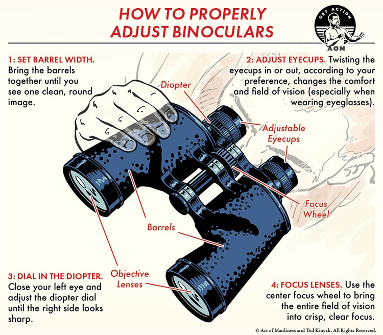 How to Properly Adjust Your Binoculars