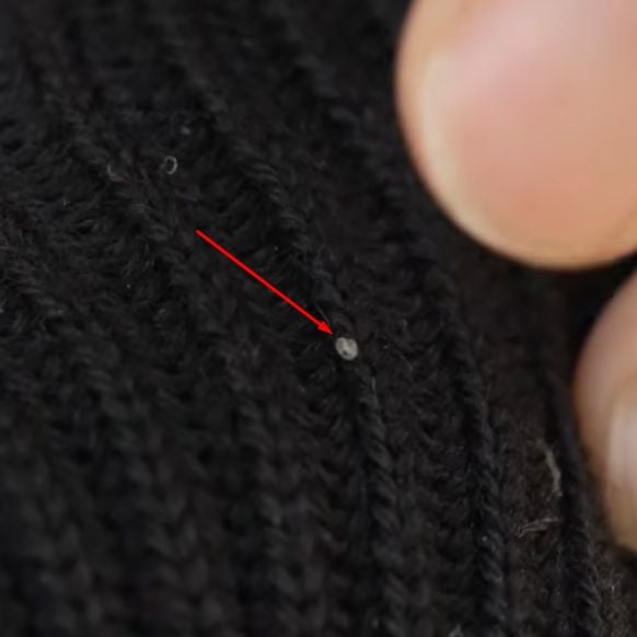 How to Get Rid of Clothes Moths Permanently (When Cedar and Traps Fail)